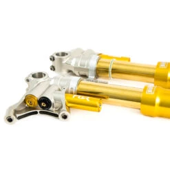 Öhlins FGR 300 Racing Gabel -Alpha Speed Verkaufsgeschäft 3142a004b00 01 03 1886